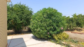Jardín